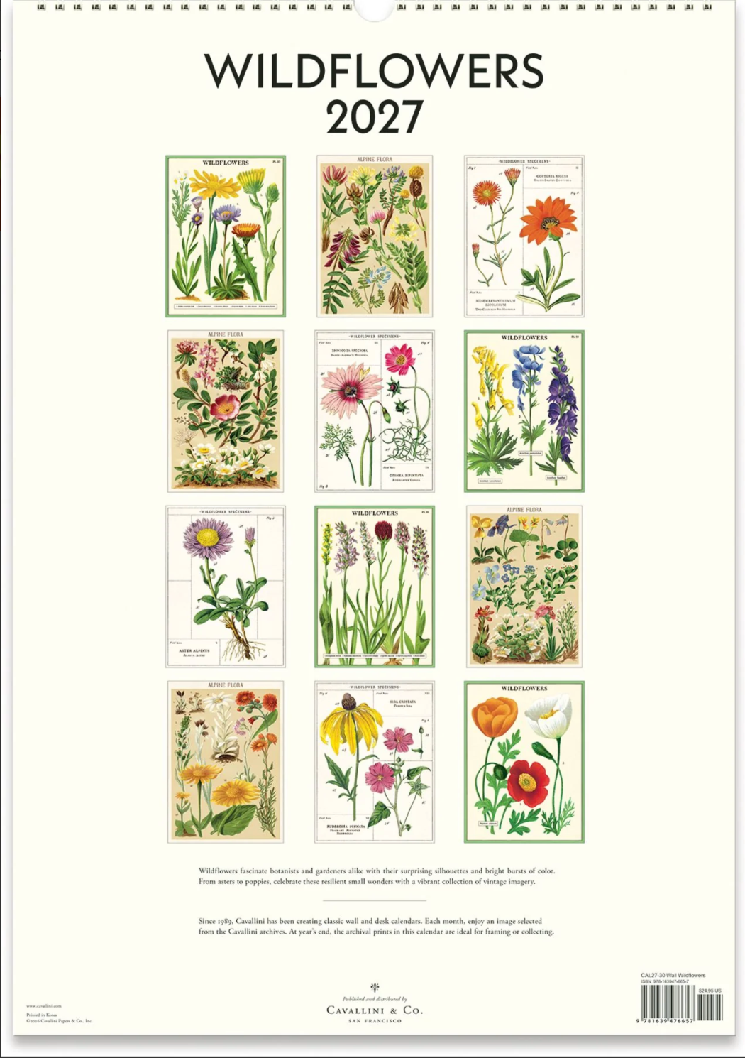 Cavallini & Co. 2027 Wall Calendar - Wildflowers