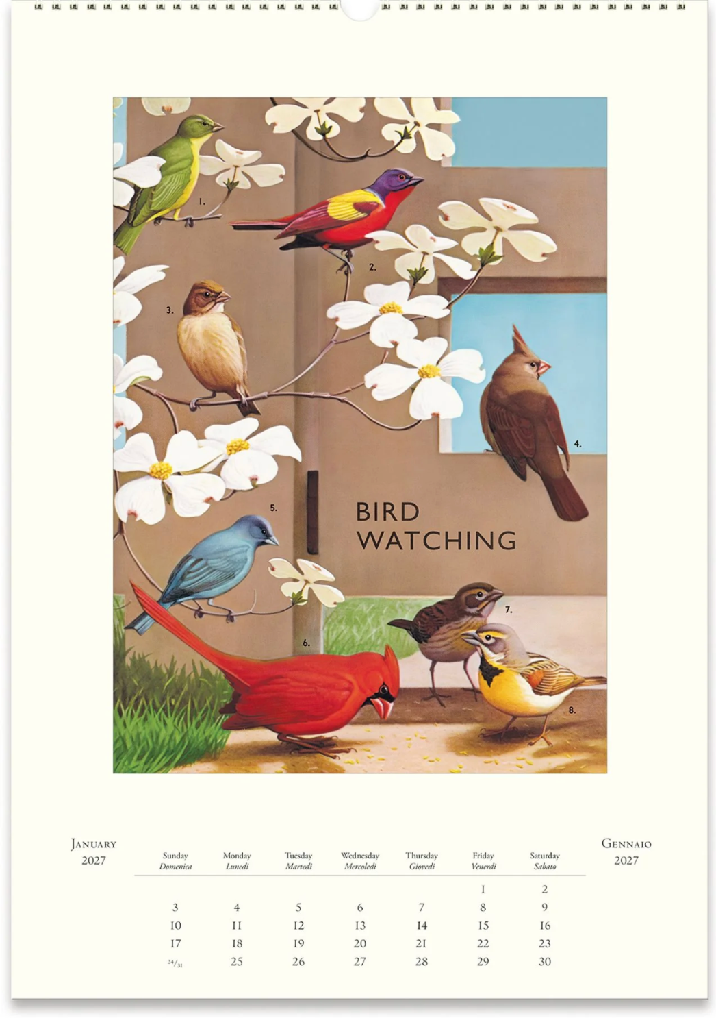 Cavallini & Co. 2027 Wall Calendar - Bird Watching