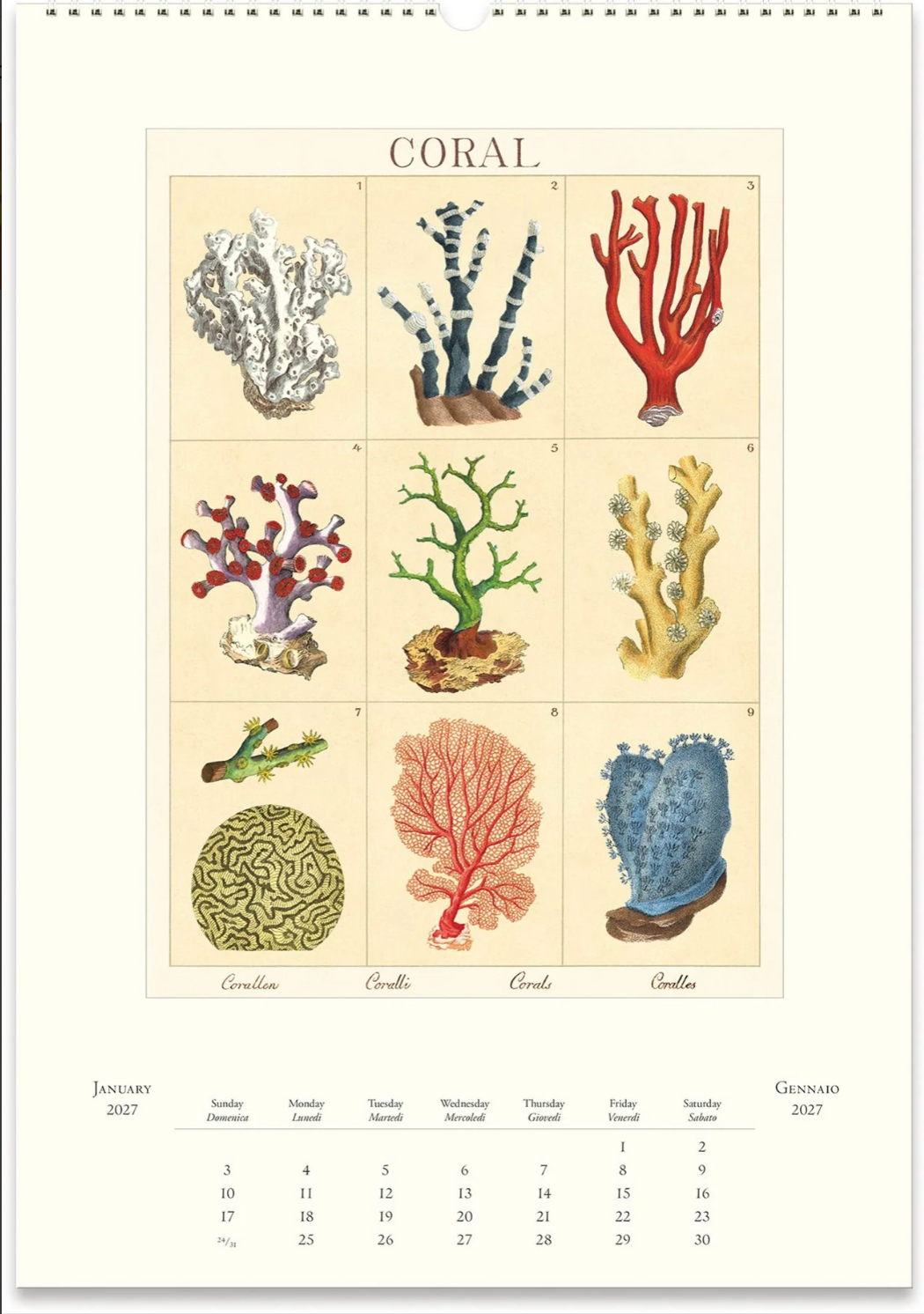 Cavallini & Co. 2027 Wall Calendar - Sea Life