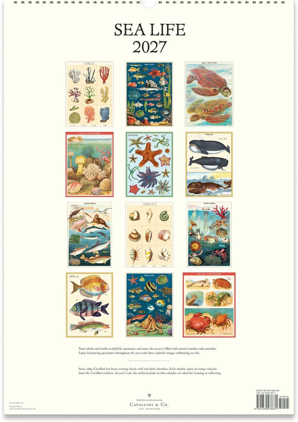 Cavallini & Co. 2027 Wall Calendar - Sea Life