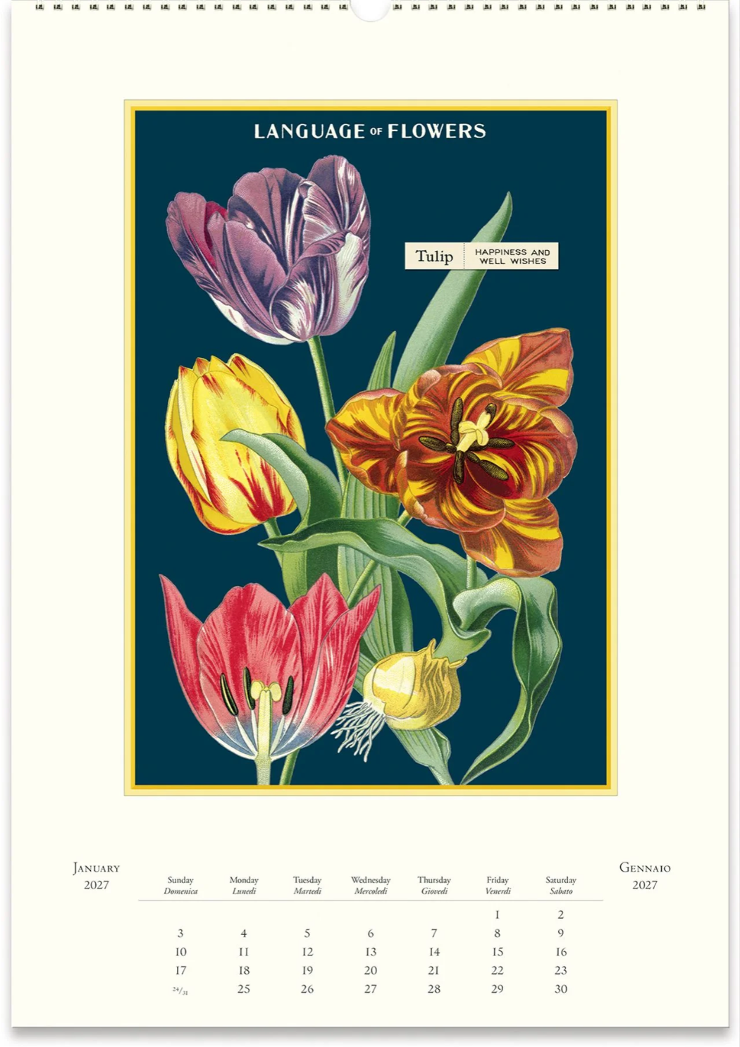 Cavallini & Co. 2027 Wall Calendar - Language of Flowers