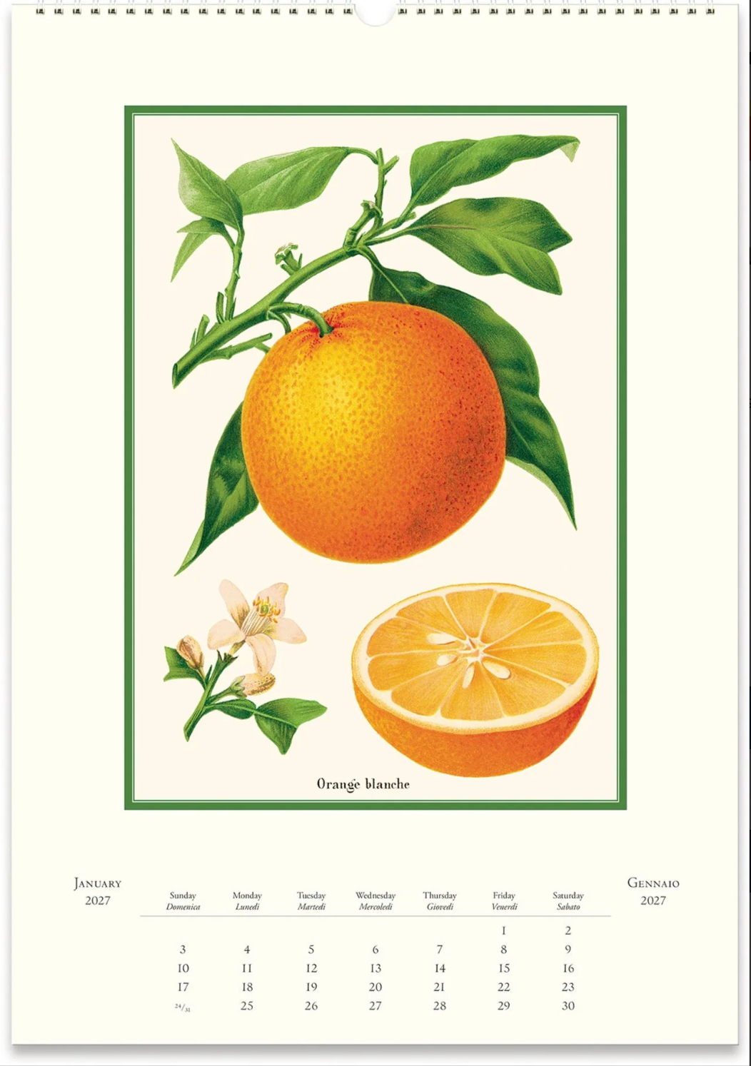 Cavallini & Co. 2027 Wall Calendar - Farmer's Market