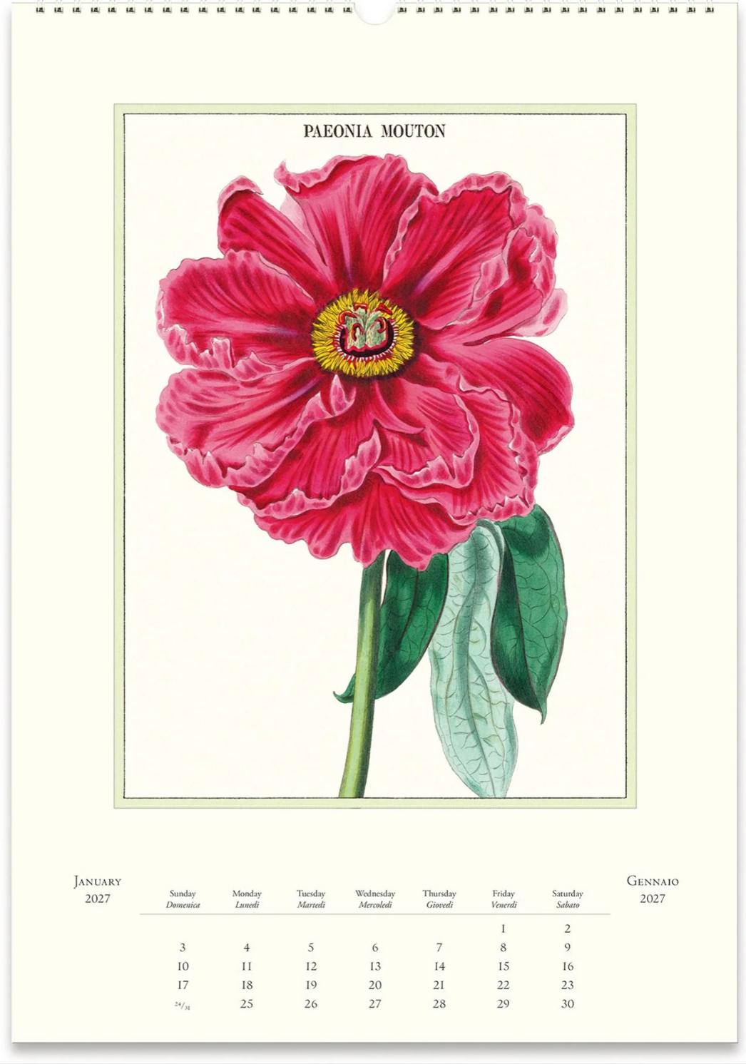 Cavallini & Co. 2027 Wall Calendar - Botanica