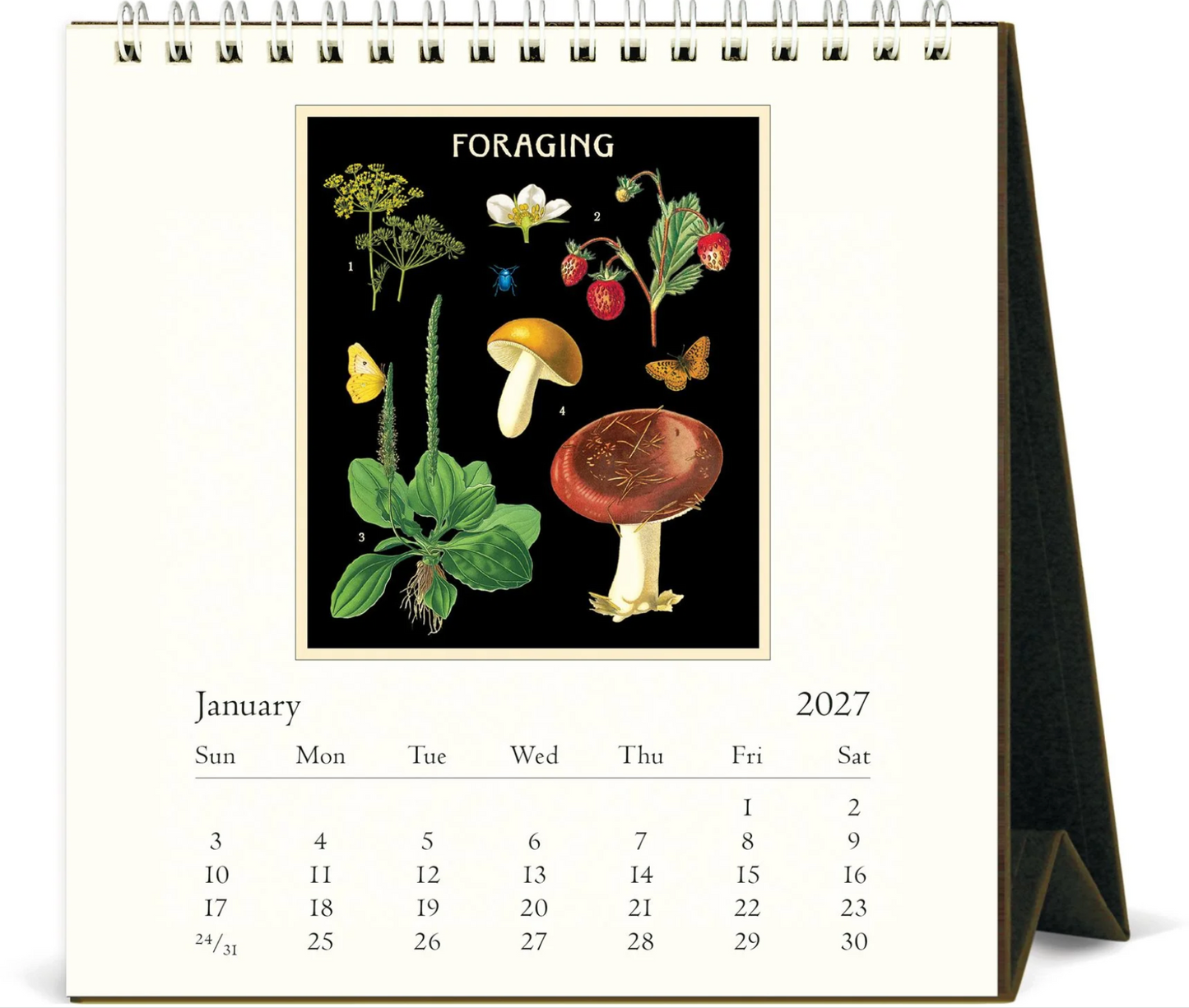 Cavallini & Co. 2027 Desk Calendar - Foraging