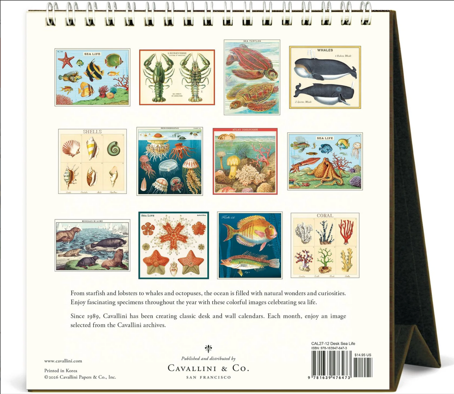 Cavallini & Co. 2027 Desk Calendar - Sea Life