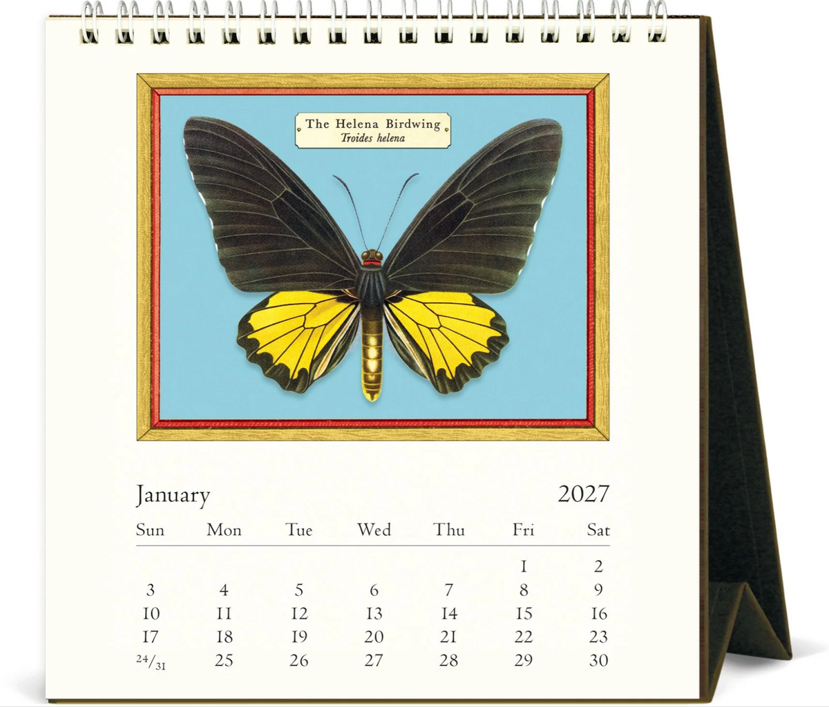 Cavallini & Co. 2027 Desk Calendar - Butterflies