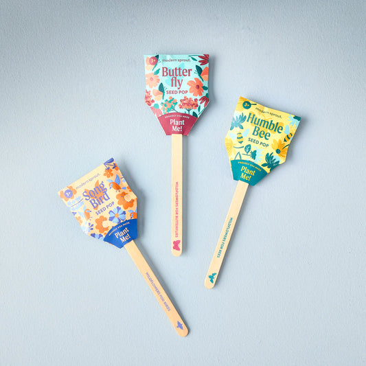 Seed Lollipop - Pollinator