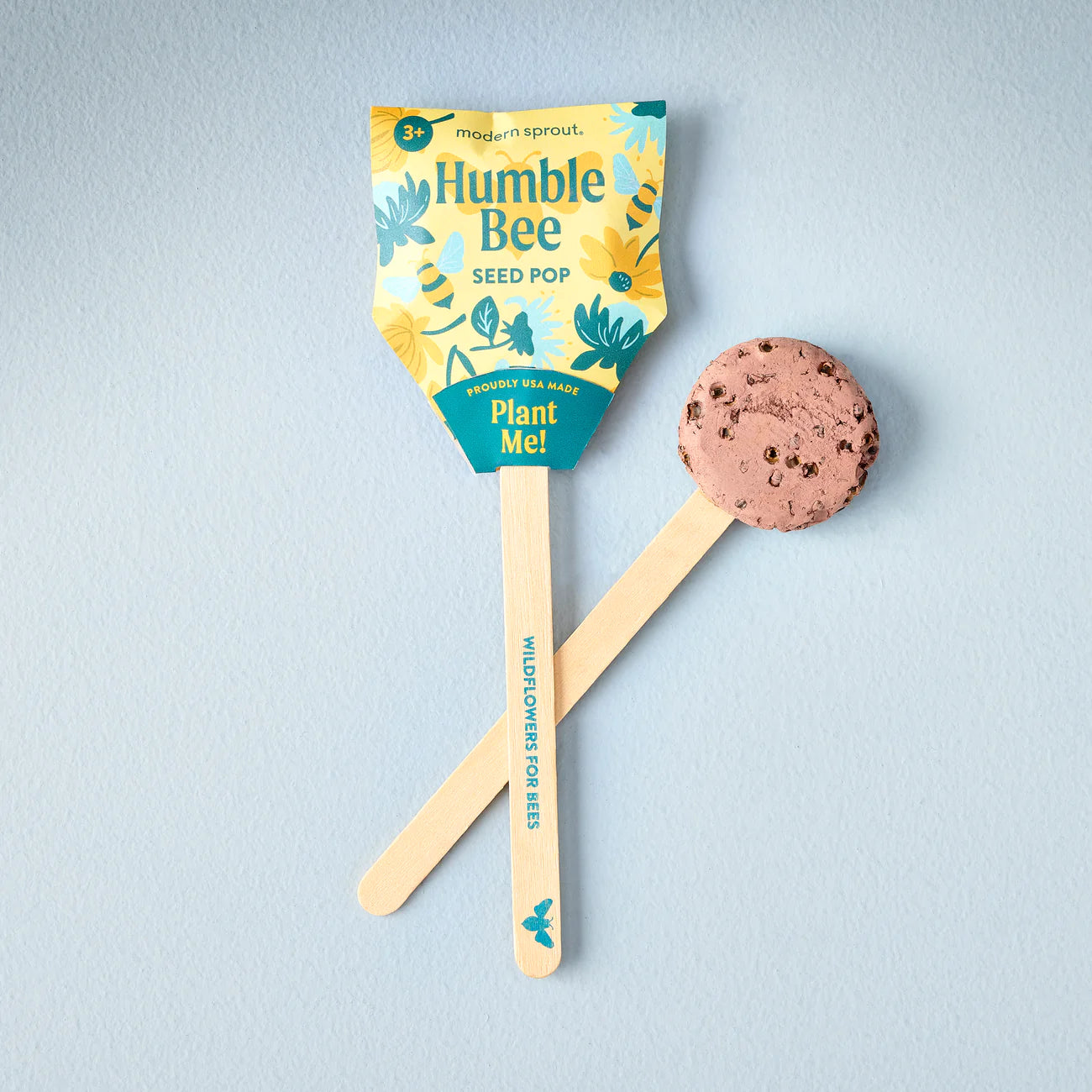 Seed Lollipop - Pollinator