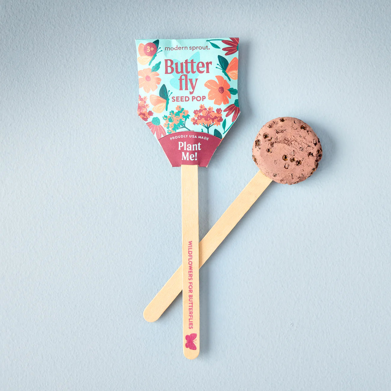 Seed Lollipop - Pollinator