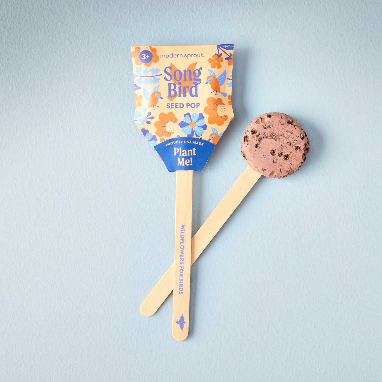 Seed Lollipop - Pollinator