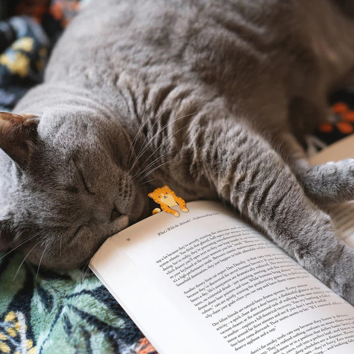 Tale End Bookmarks