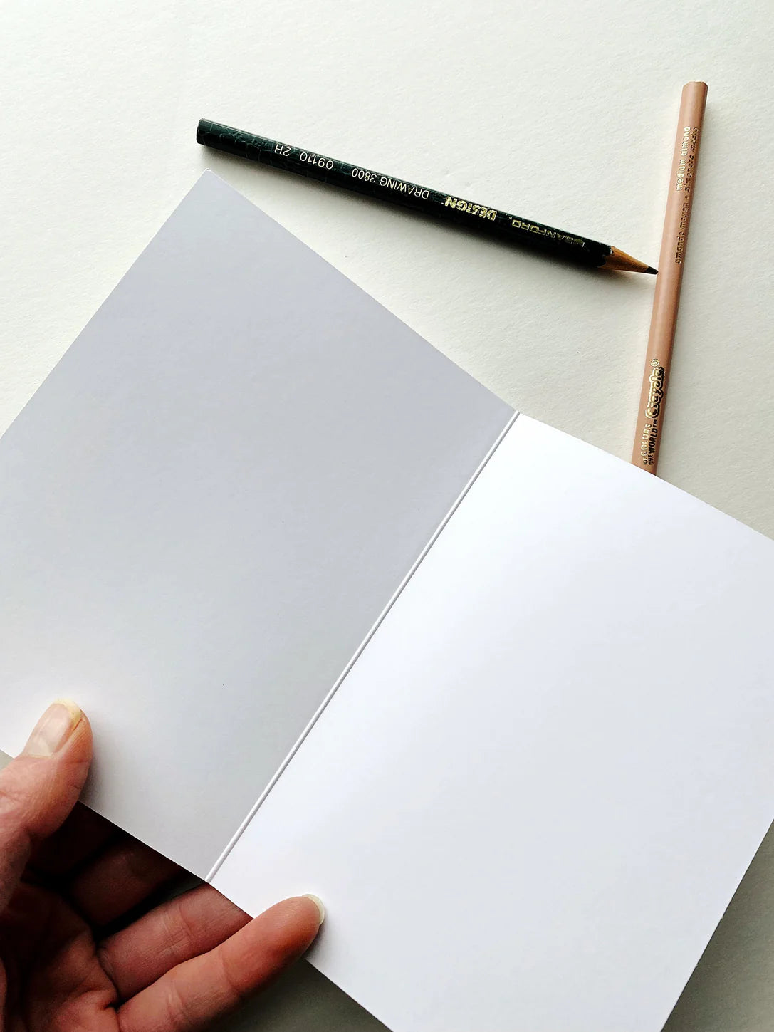 Turn of the Centuries - Ferns Watercolor Thank You Greeting Card