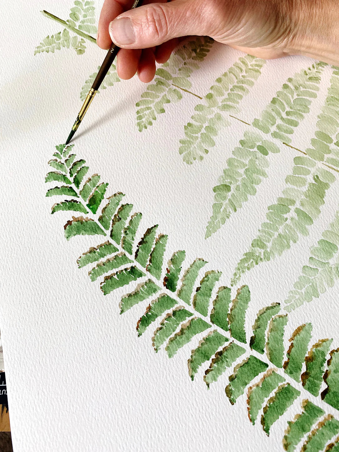 Turn of the Centuries - Ferns Watercolor Thank You Greeting Card