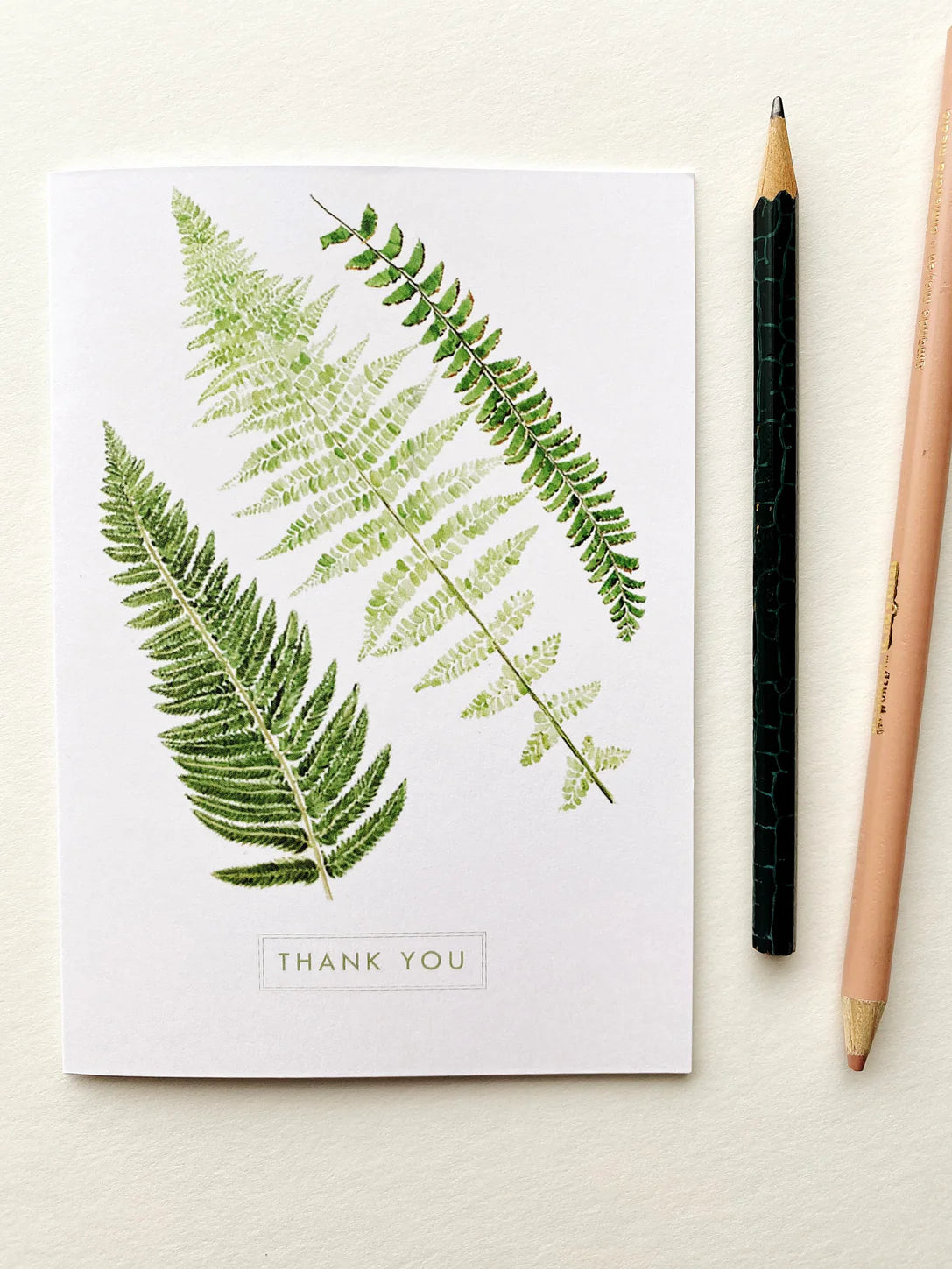 Greeting Card of watercolor of fern leaves and 'Thank You' text.