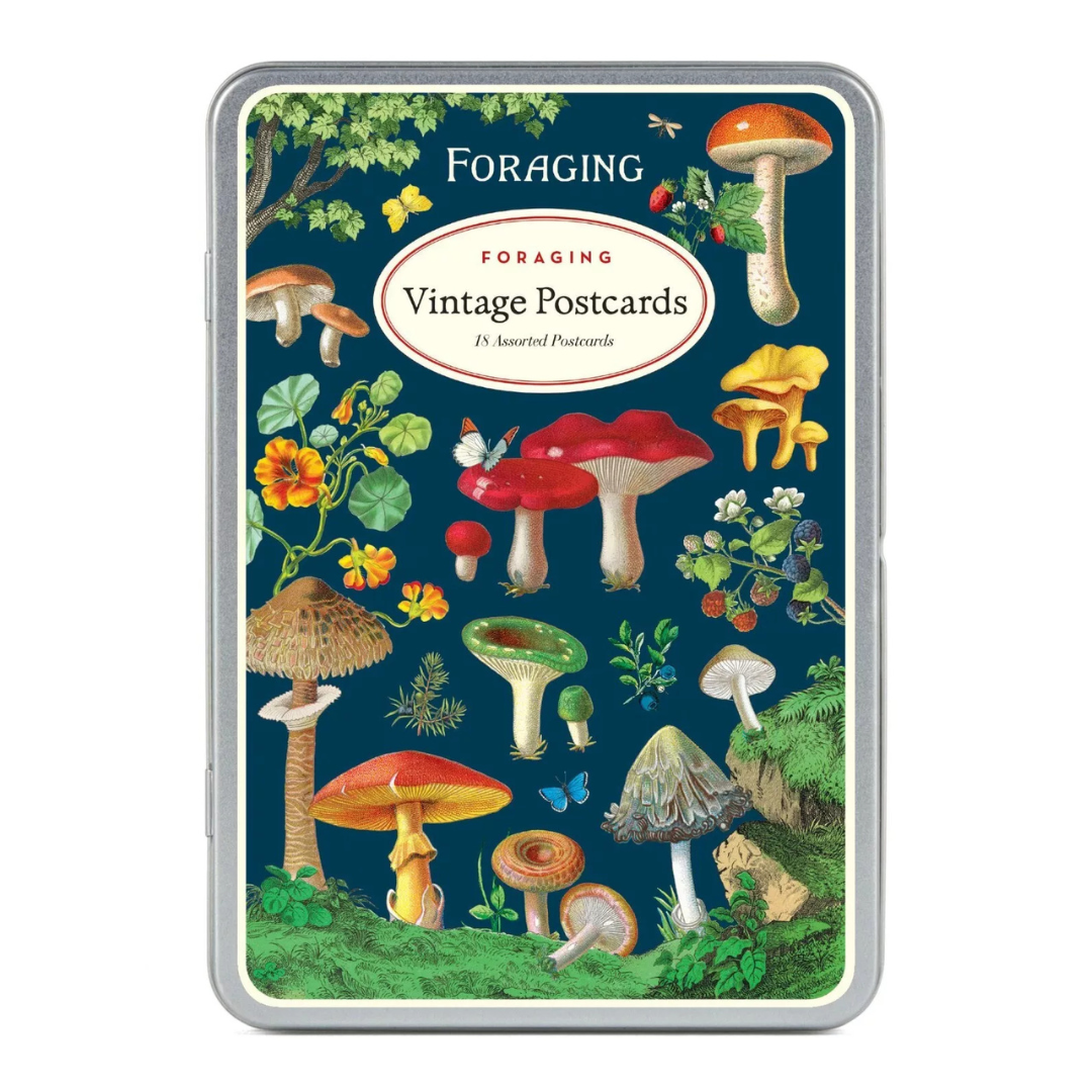 Vintage navy blue postcard featuring mushrooms in all different colors surrounded by lush green forestry.