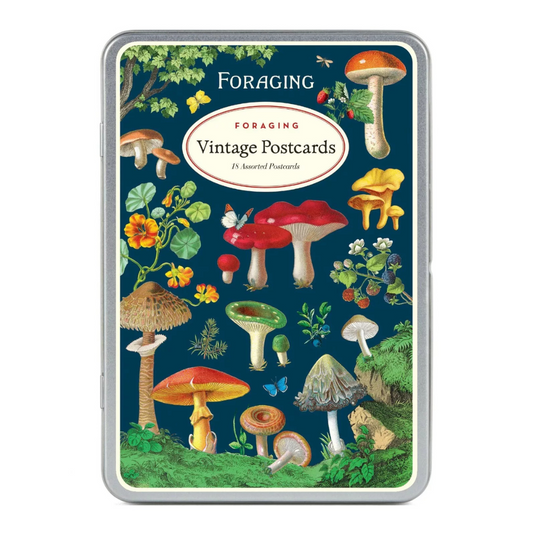 Vintage navy blue postcard featuring mushrooms in all different colors surrounded by lush green forestry.