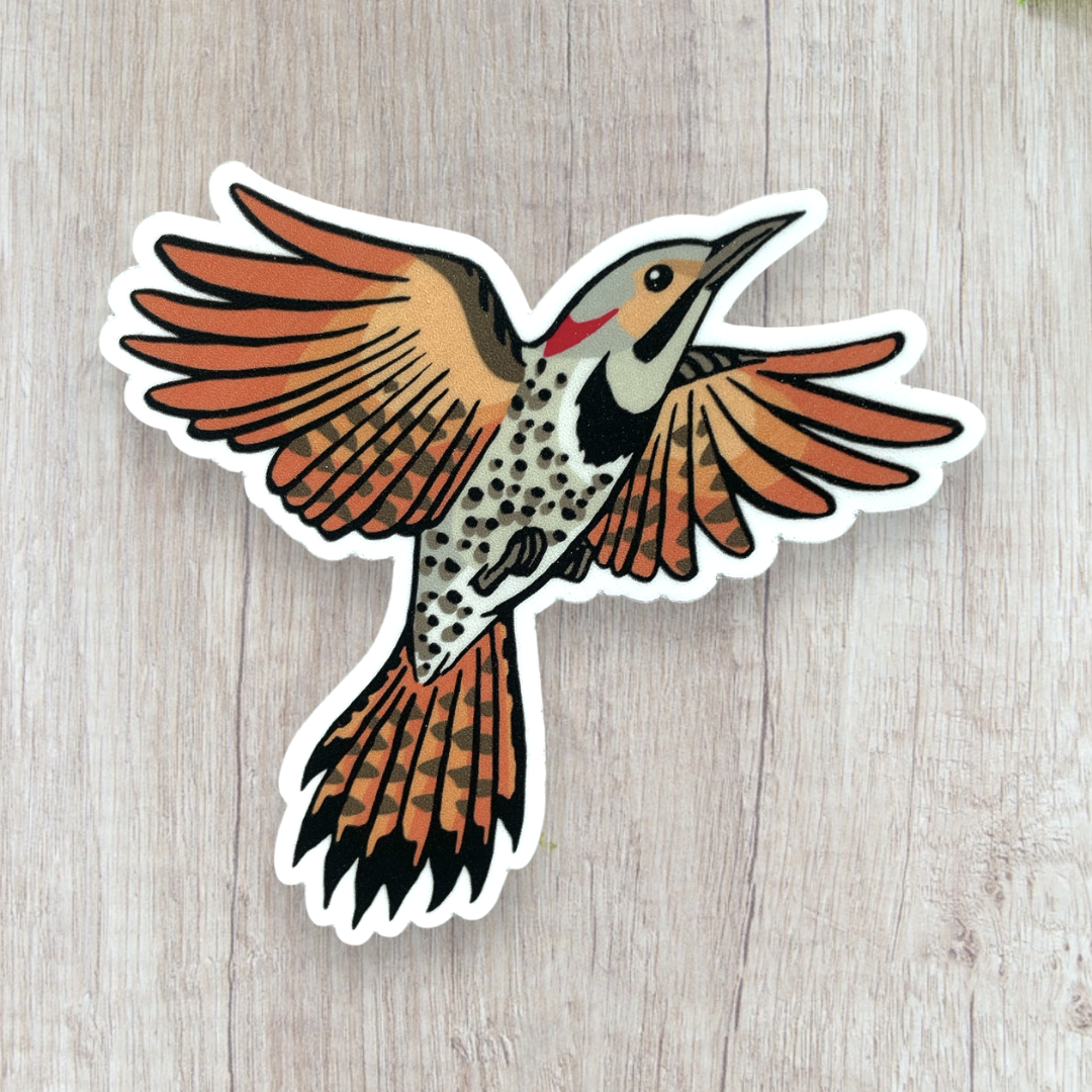 Anagram Press- Northern Flicker Sticker – Stocklist