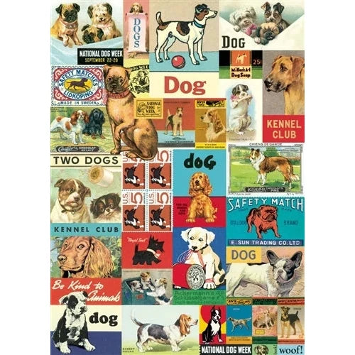 vintage print of different dogs, illustrations collage 