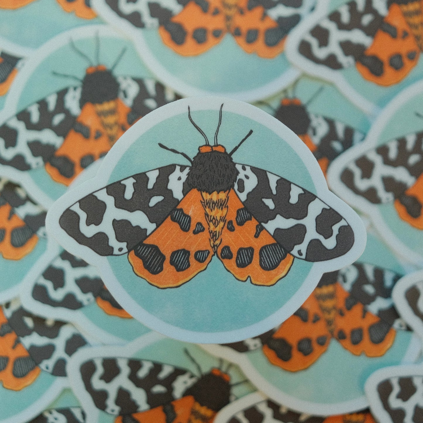 Tiger Moth Vinyl Sticker