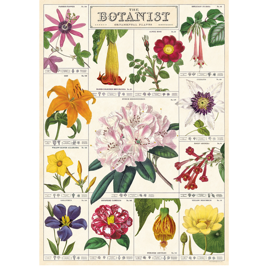 Cavallini & Co. Wrap - The Botanist