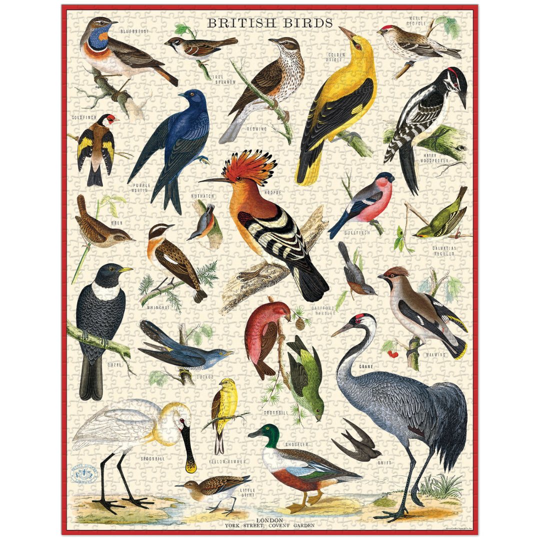 Cavallini & Co. 1000 Piece Puzzle - British Birds