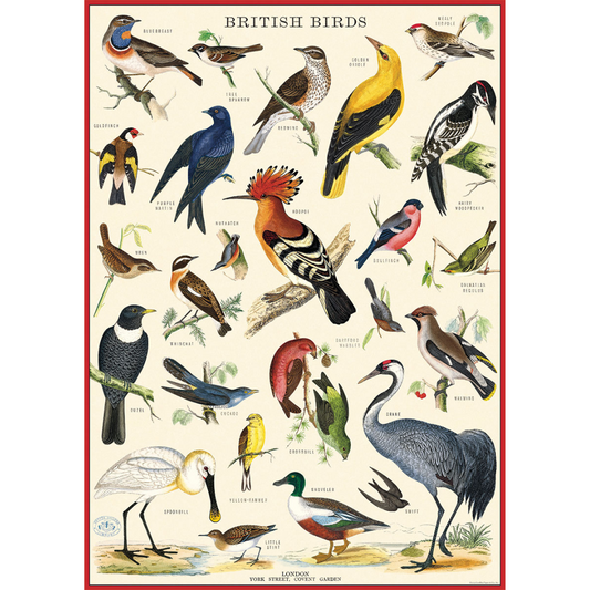 Cavallini & Co. Wrap - British Birds