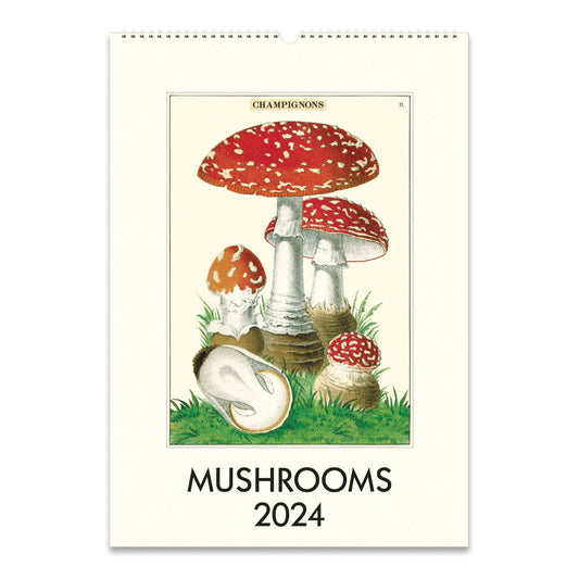 Cavallini & Co. 2024 Wall Calendar - Mushrooms