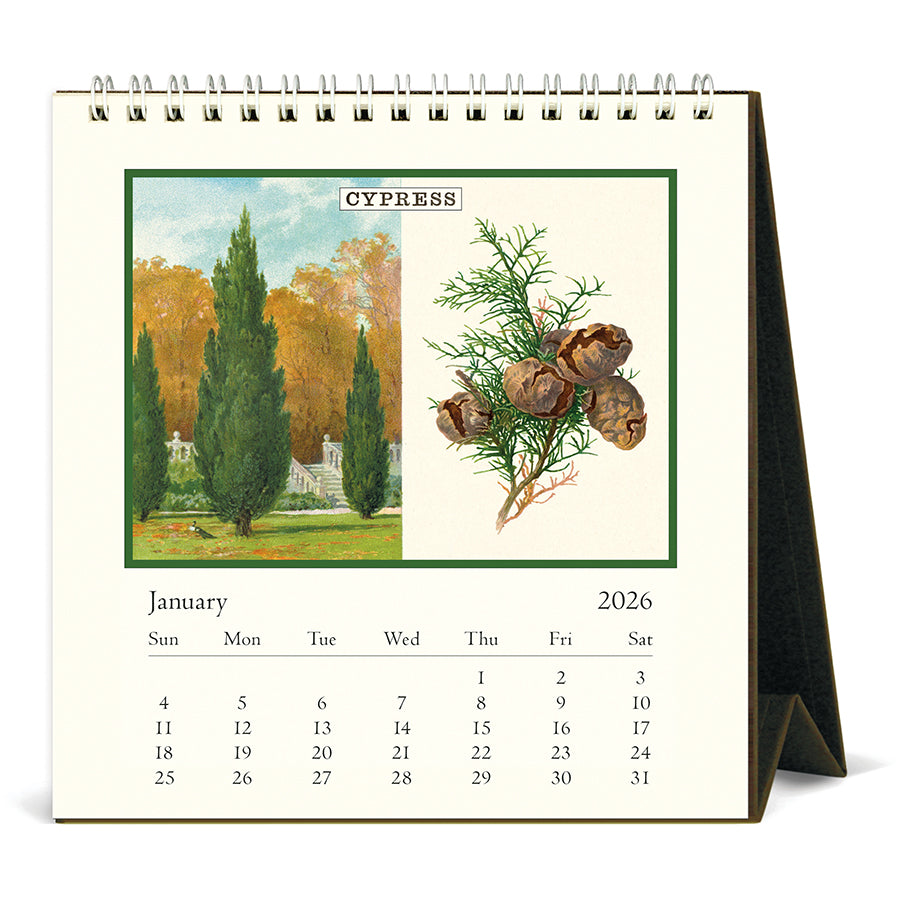 Calendar with Cypress design featuring trees and cones