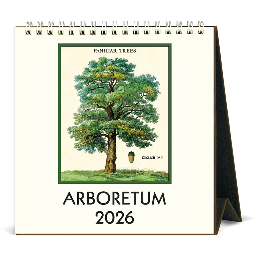 Arboretum 2026 desk calendar with an illustration of an English Oak