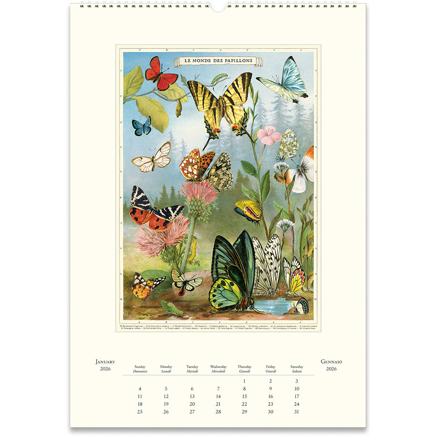 Calendar with vintage-style illustration of butterflies and flowers 