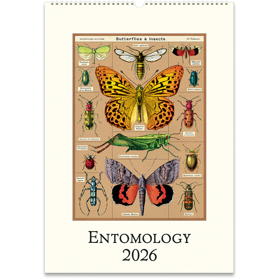 2026 entomology calendar with illustrations of butterflies and insects 