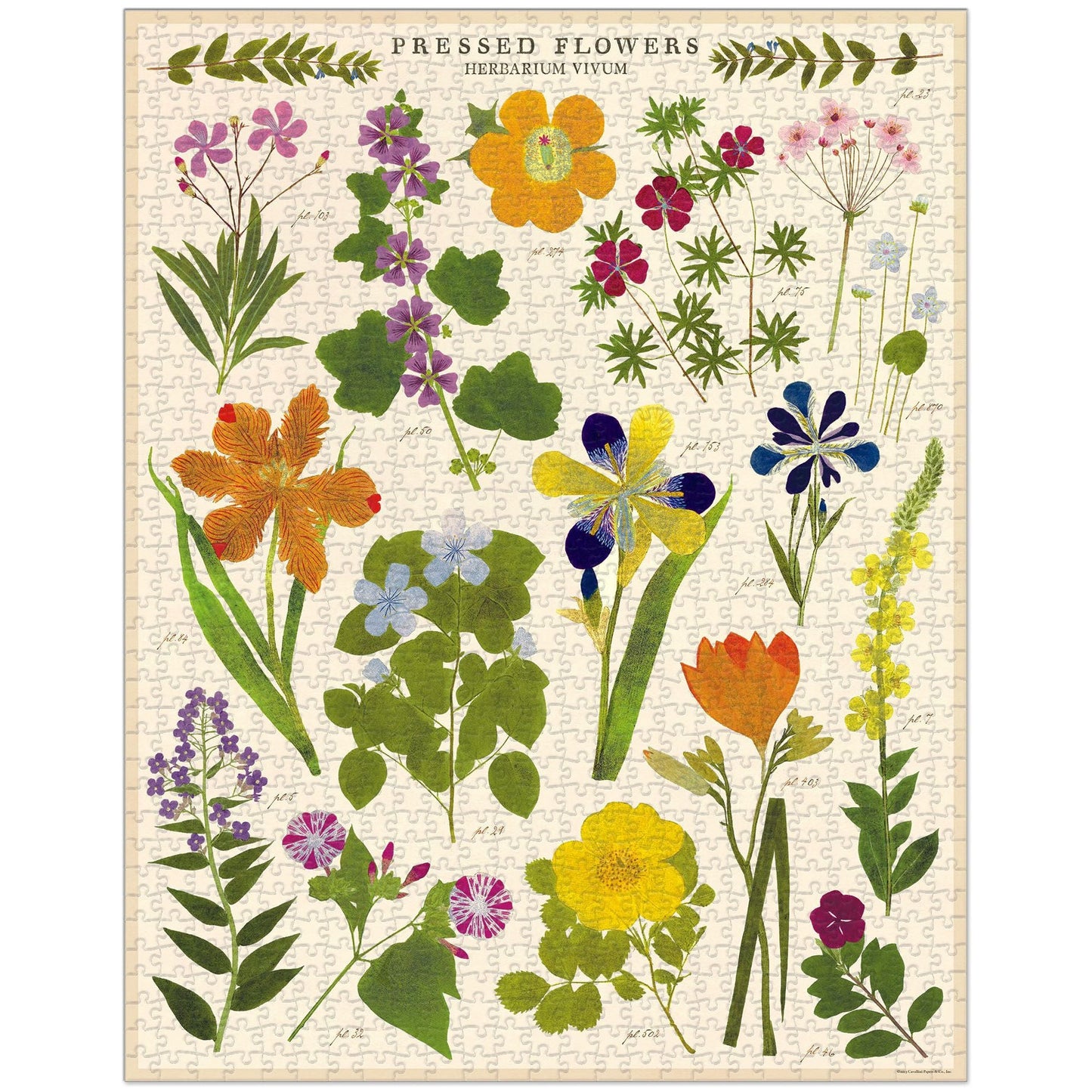 Cavallini & Co. 1000 Piece Puzzle - Pressed Flowers - Stocklist Goods