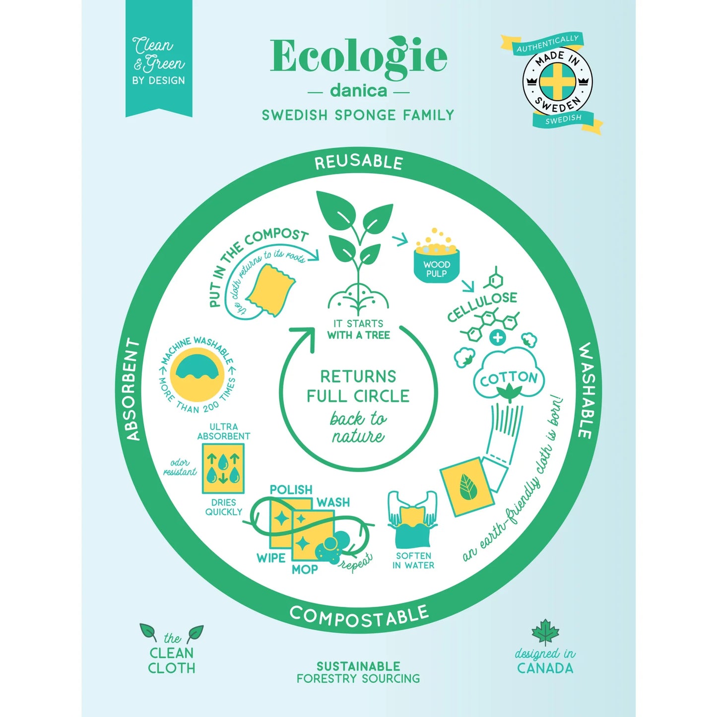 Life cycle of a reusable sponge cloth from creation to use to composting