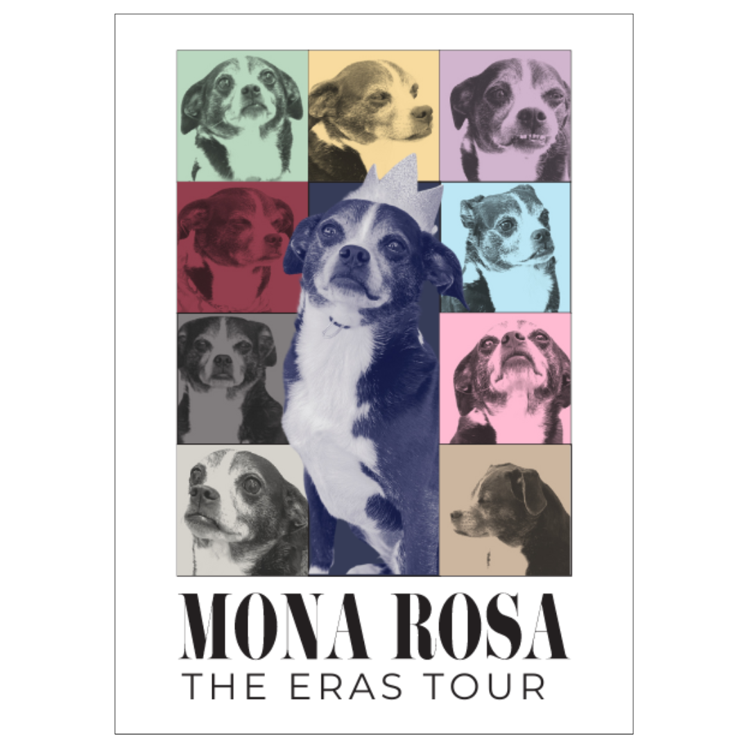 Mona's Eras Tour Postcard