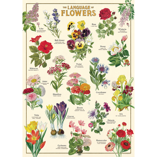 Cavallini & Co. Wrap - Language of Flowers