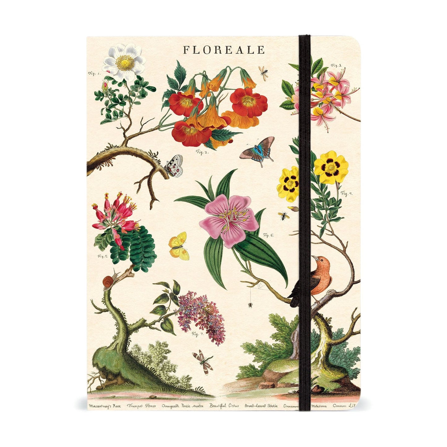 Cavallini & Co. Large Notebook - Floreale