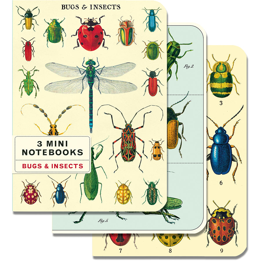 Cavallini & Co. 3 Mini Notebooks - Bugs & Insects