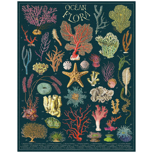 completed ocean flora puzzle image with sea anenome and starfish