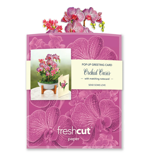 FreshCut Paper Mini Orchid Oasis