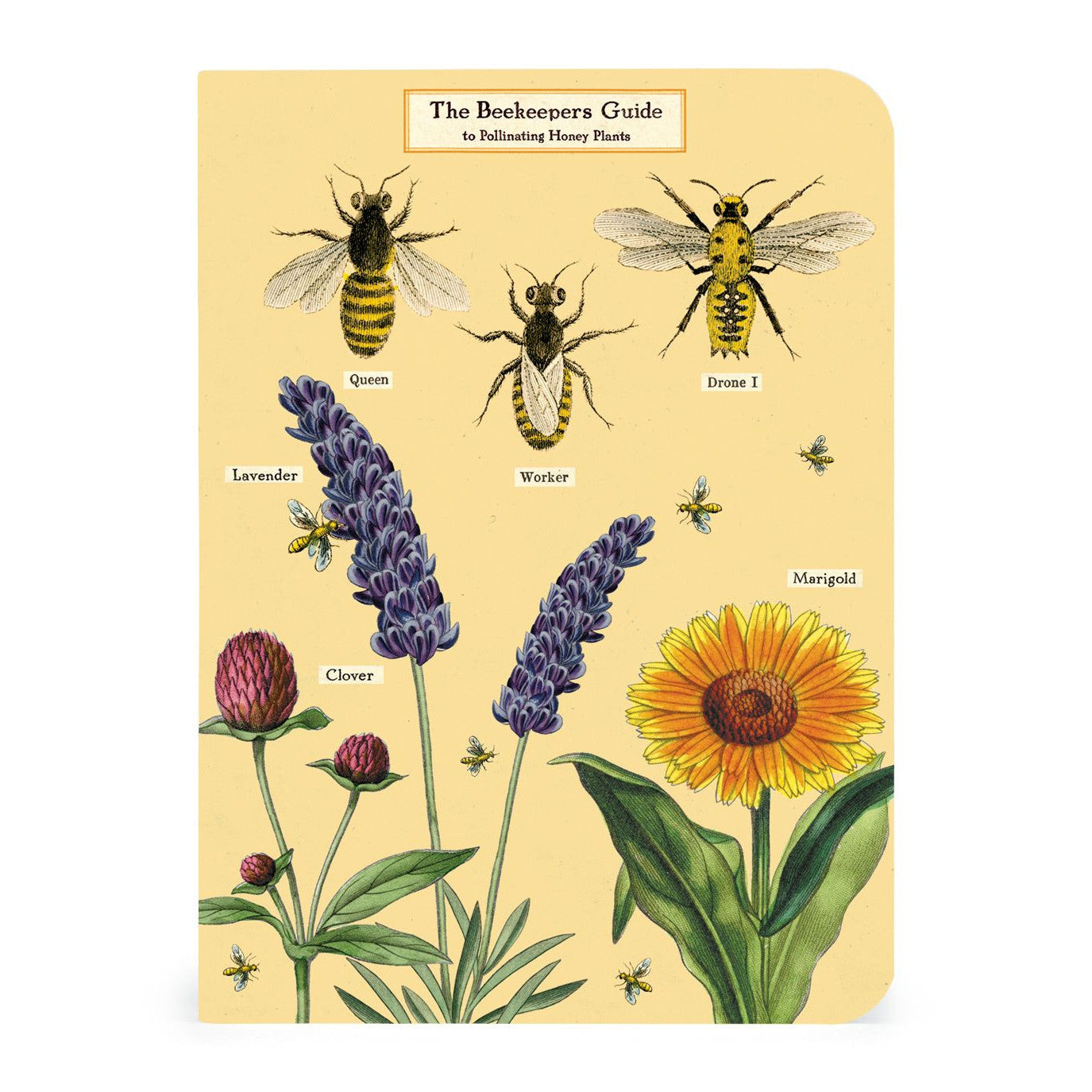 Cavallini & Co. 3 Mini Notebooks - Bees & Honey