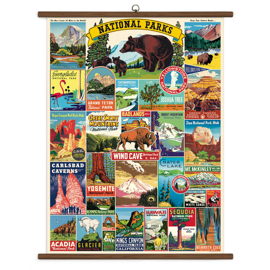 Cavallini & Co. Vintage School Chart - National Parks