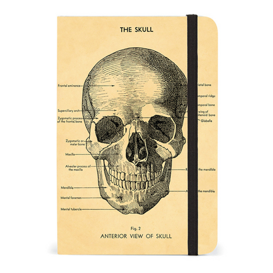 Cavallini & Co. Small Notebook - Skull