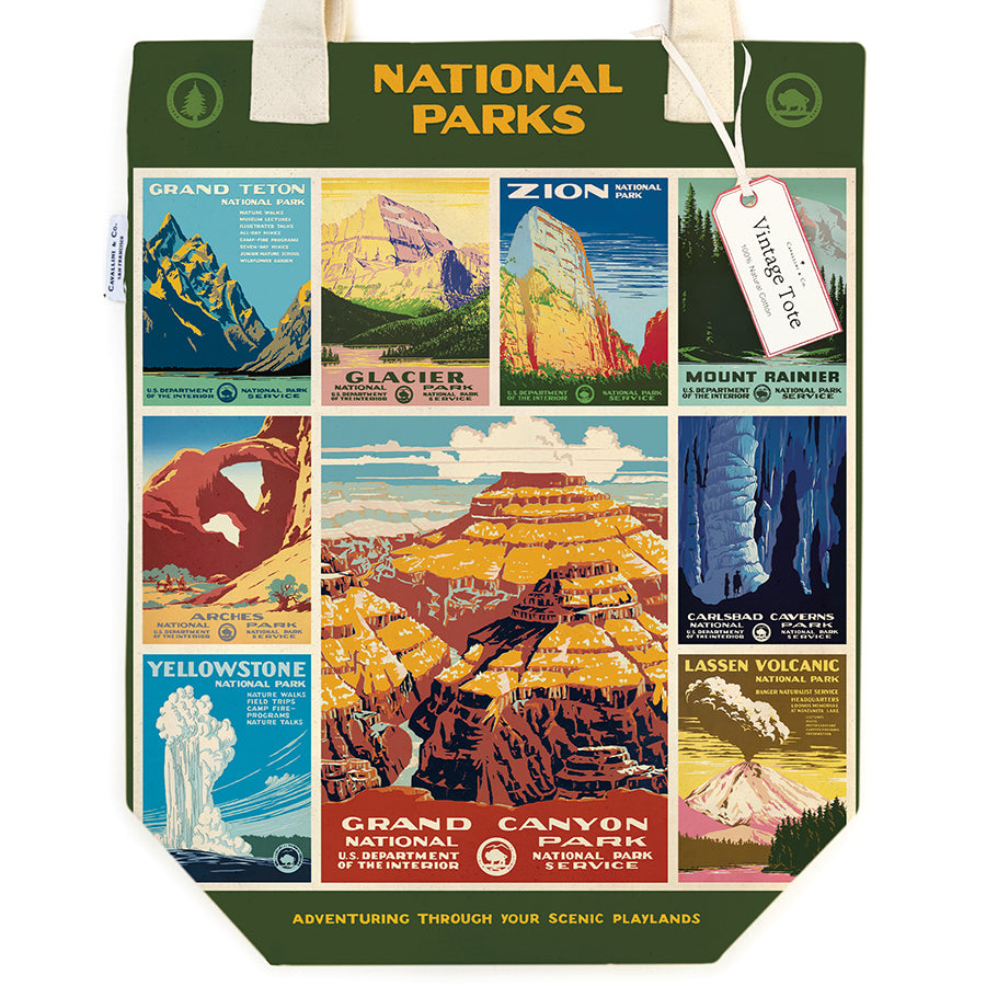 Tote bag with vintage National Parks posters against a green backdrop 