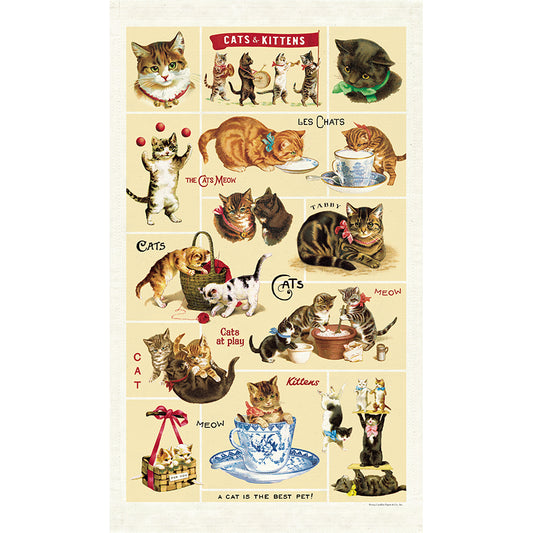 Vintage-style tea towel with illustrations of cats and kittens in various poses and activities.