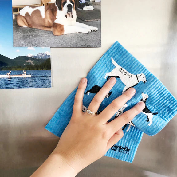 Sponge cloth being used to clean a refrigerator door 