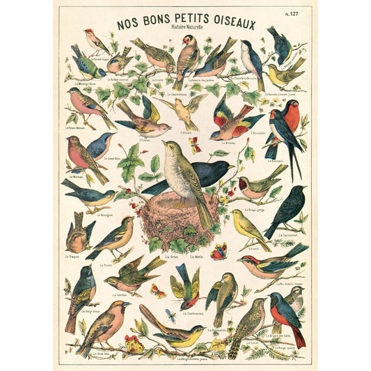 An art print and paper wrap which features various species of songbird