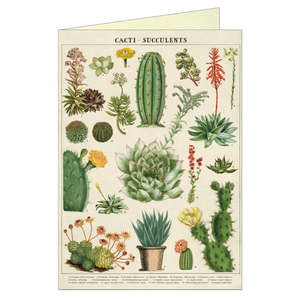 Greeting card that features vintage illustration of succulents and cacti.