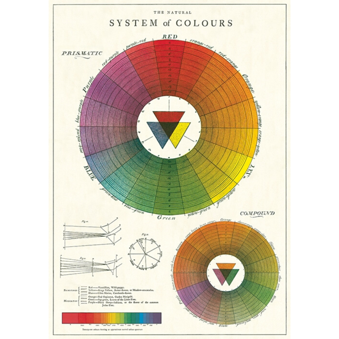 An art print and paper wrap which features an illustration of the colorwheel and chromatic mixing