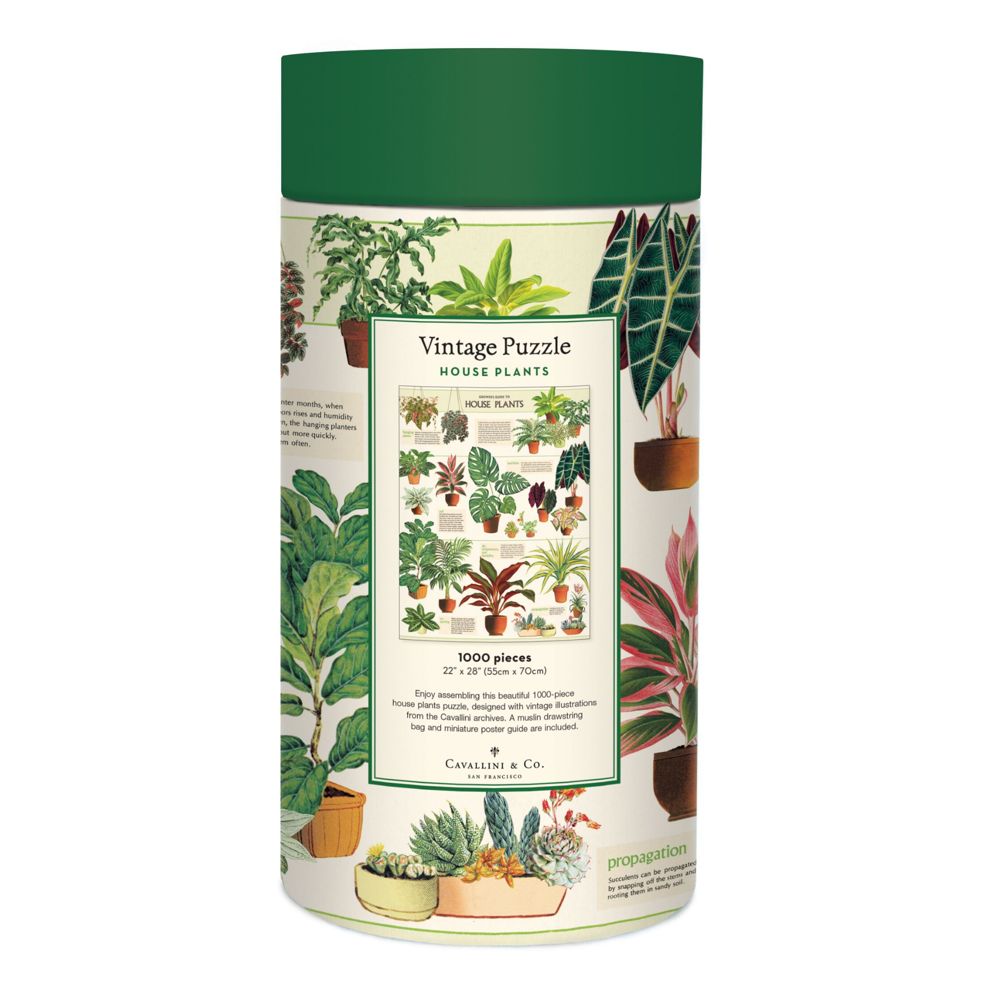 house plants puzzle House Plants Puzzle