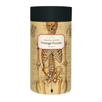 Cavallini round puzzle box with a navy lid and cream case, adorned with a vintage skeletal system illustration, with anatomical and physiological labelling..